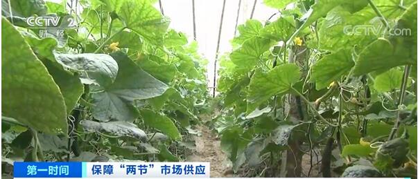 農產品配送了解到農業農村部：全國菜價呈下降趨勢
